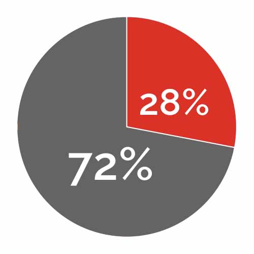 Graph--Only 28% of companies regularly review IT Disaster Recovery plans