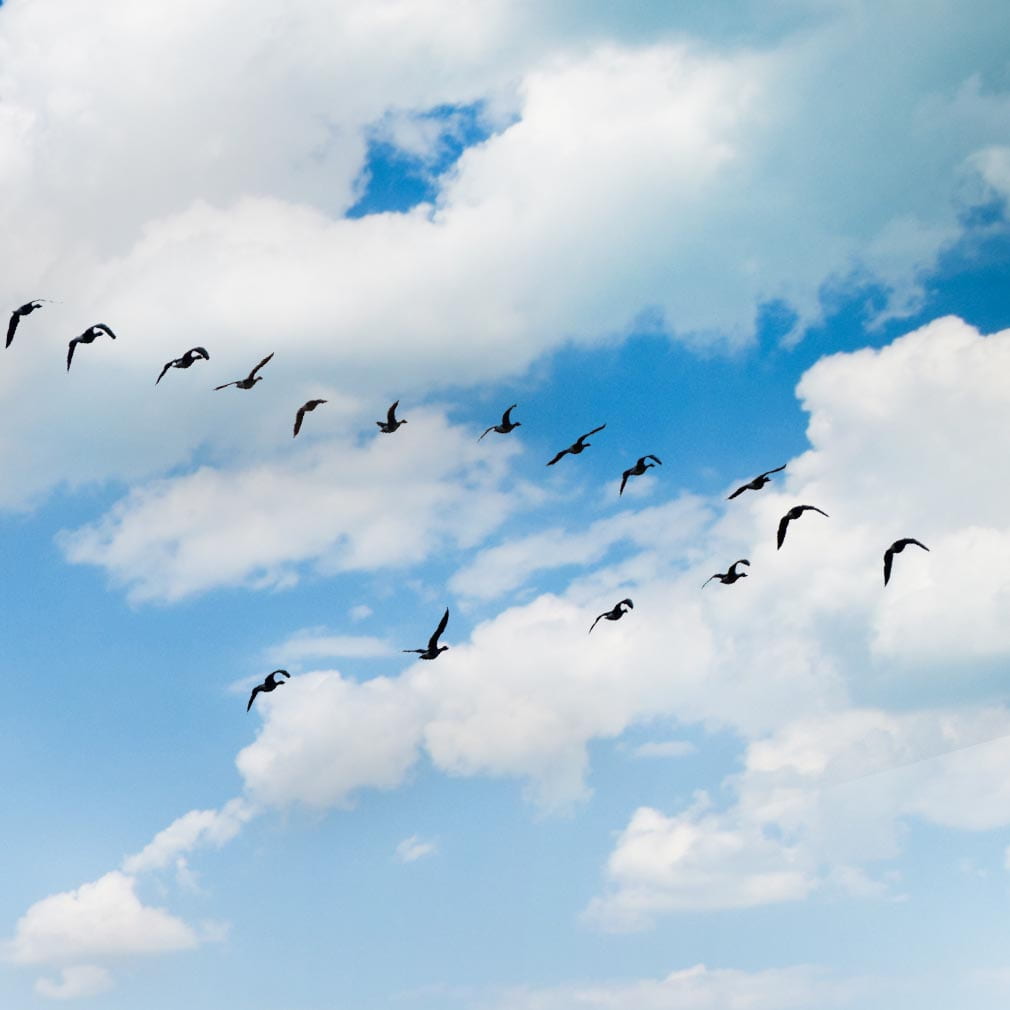 Cloud Migrations